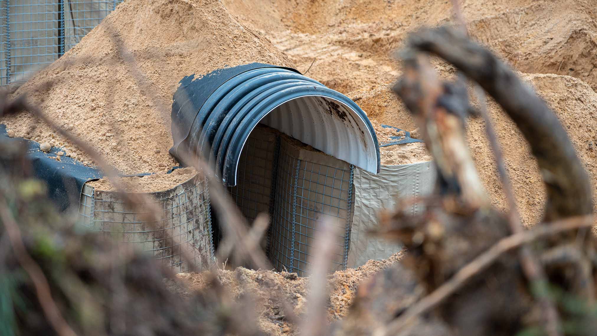 FOTO: Hendrik Tali / RKIK